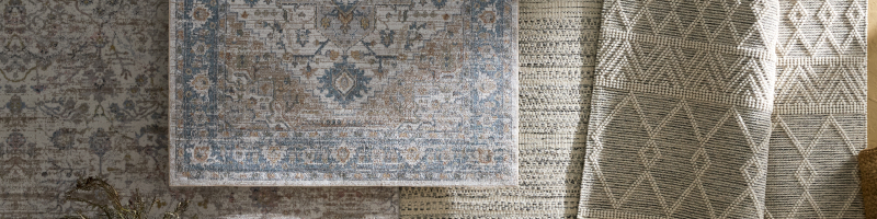Ahnalise Oriental Rug